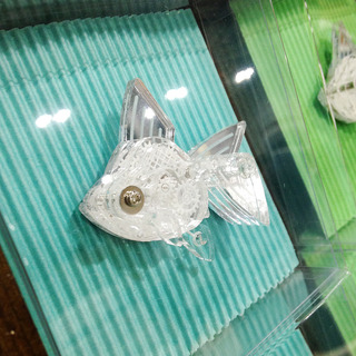 金魚01.jpg